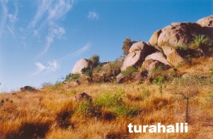 Turahalli