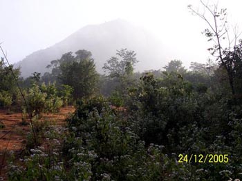 kodachadri trek