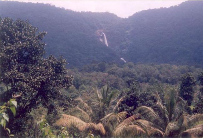 ../images/dreams/rnaik/Koosalli_Falls_From_a_Distance.jpg