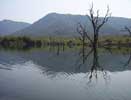 Kadra Backwaters