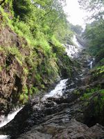 falls_view_from_below