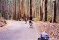 ../images/dreams/tdoo/cy3x200.jpg