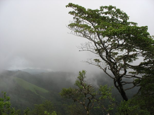 Gundya Trek