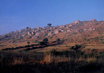 A view Of Turahalli