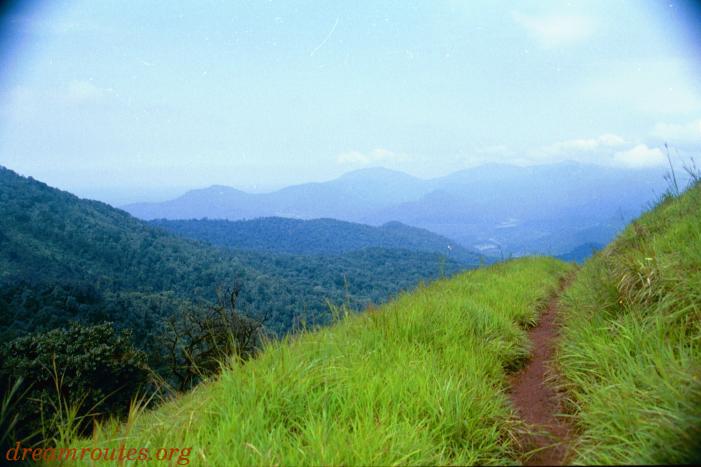 Enroute Kodachadri Peak