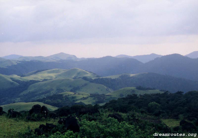 A view from Top