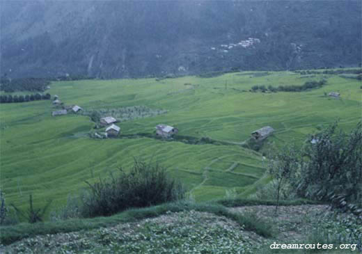 Green Fields near Manali